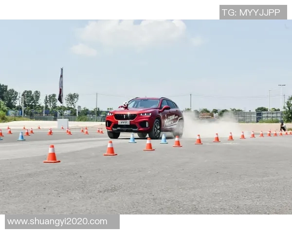 重庆乒乓球队转型之路的挑战与机遇全景观察 重庆乒乓球队转型之路的挑战与机遇全景观察