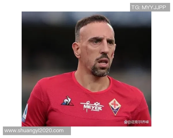 法国队现役足球明星的辉煌成就与未来发展展望