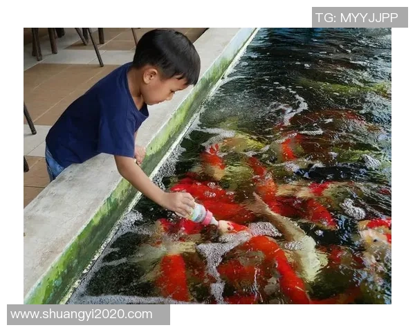 足球明星分享家养鱼趣事视频揭秘养鱼技巧与生活乐趣 足球明星分享家养鱼趣事视频揭秘养鱼技巧与生活乐趣