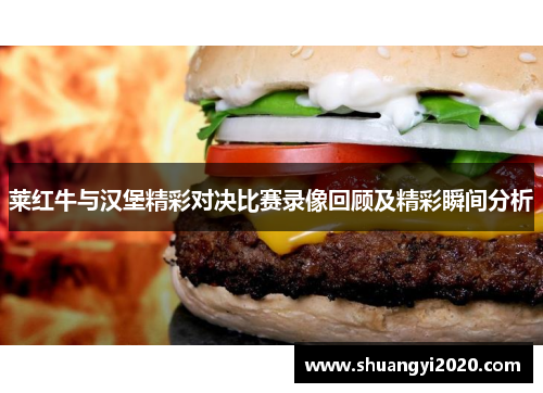 莱红牛与汉堡精彩对决比赛录像回顾及精彩瞬间分析