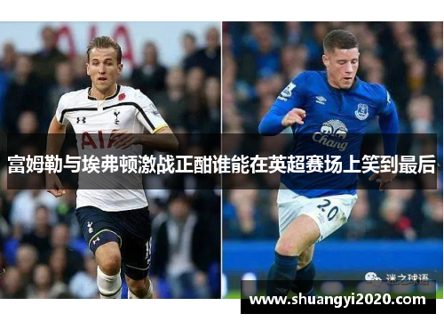 富姆勒与埃弗顿激战正酣谁能在英超赛场上笑到最后
