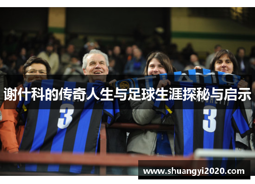 谢什科的传奇人生与足球生涯探秘与启示